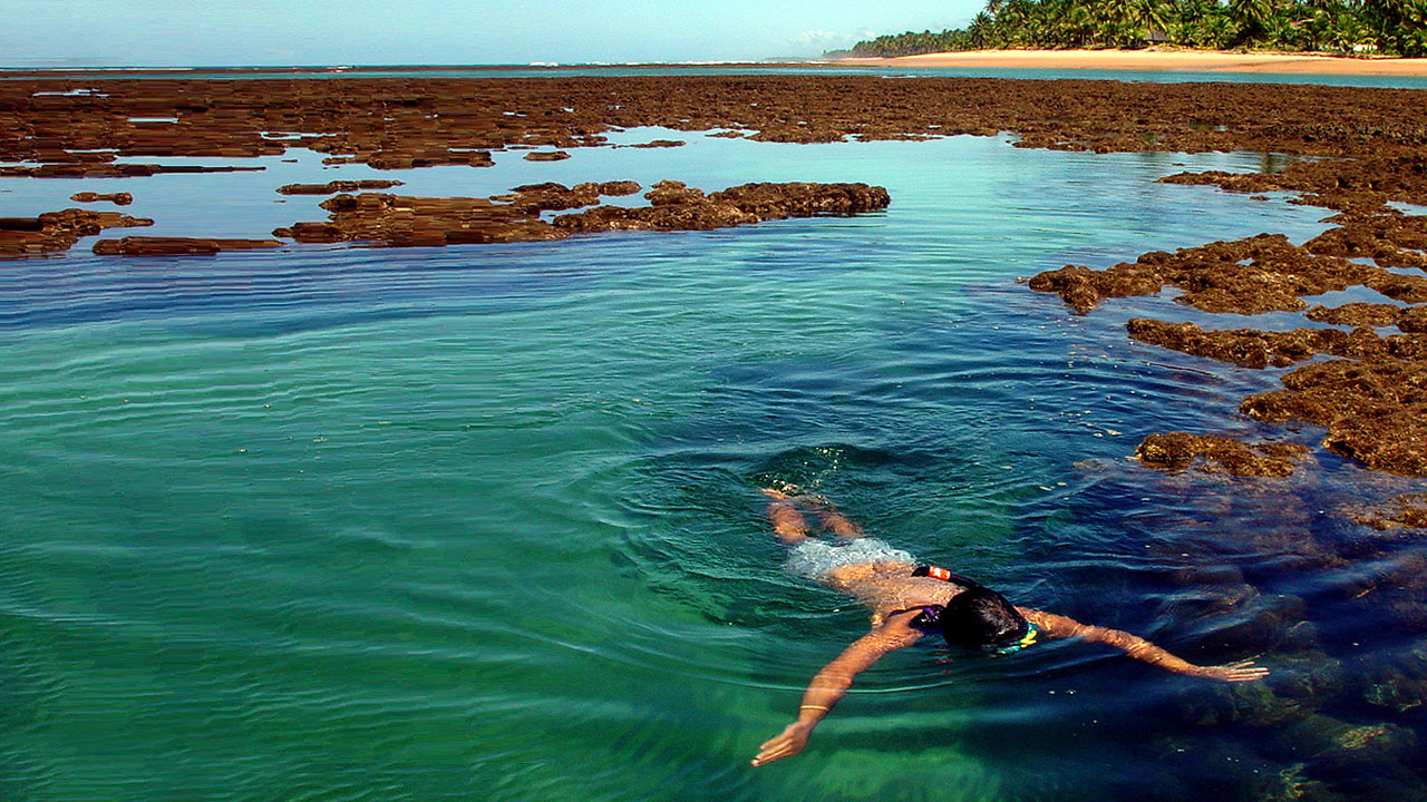 wp-content/uploads/itineraries/Brazil/Snorkeling bonito.jpg